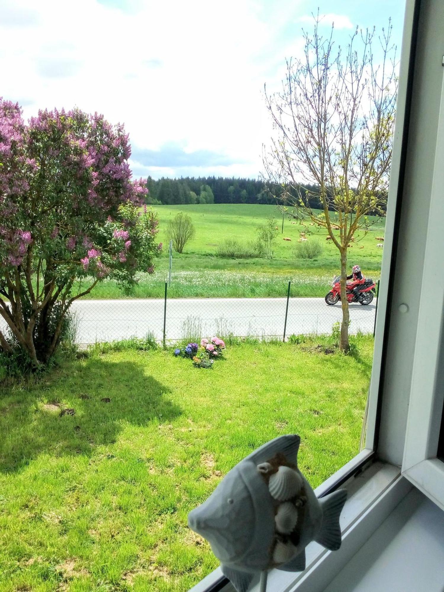 Apartman U Lipna, Pro Cyklisty, Motorkare Frymburk Exterior photo
